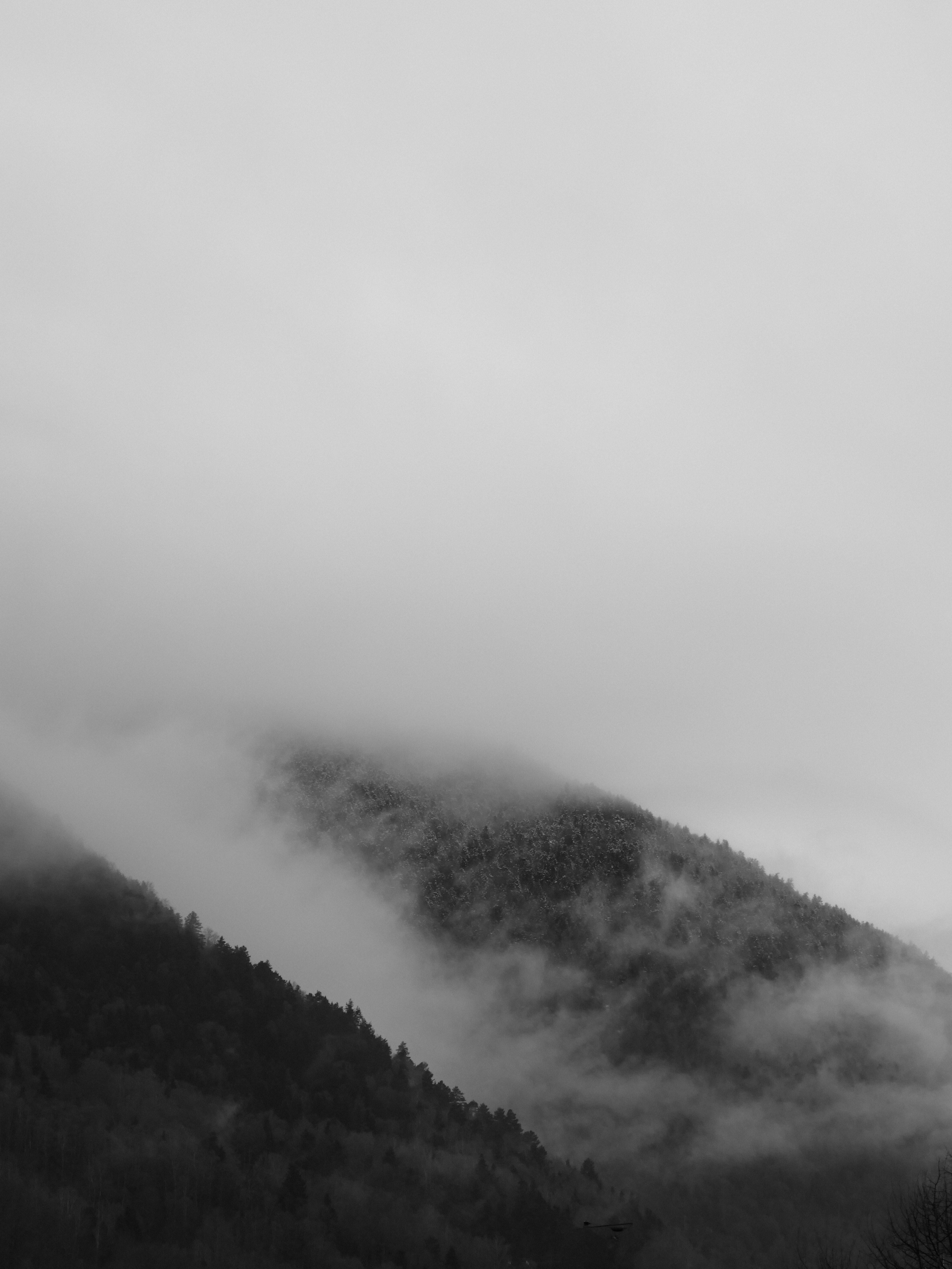 Tirage d'Art - OntologieDuBlanc#6