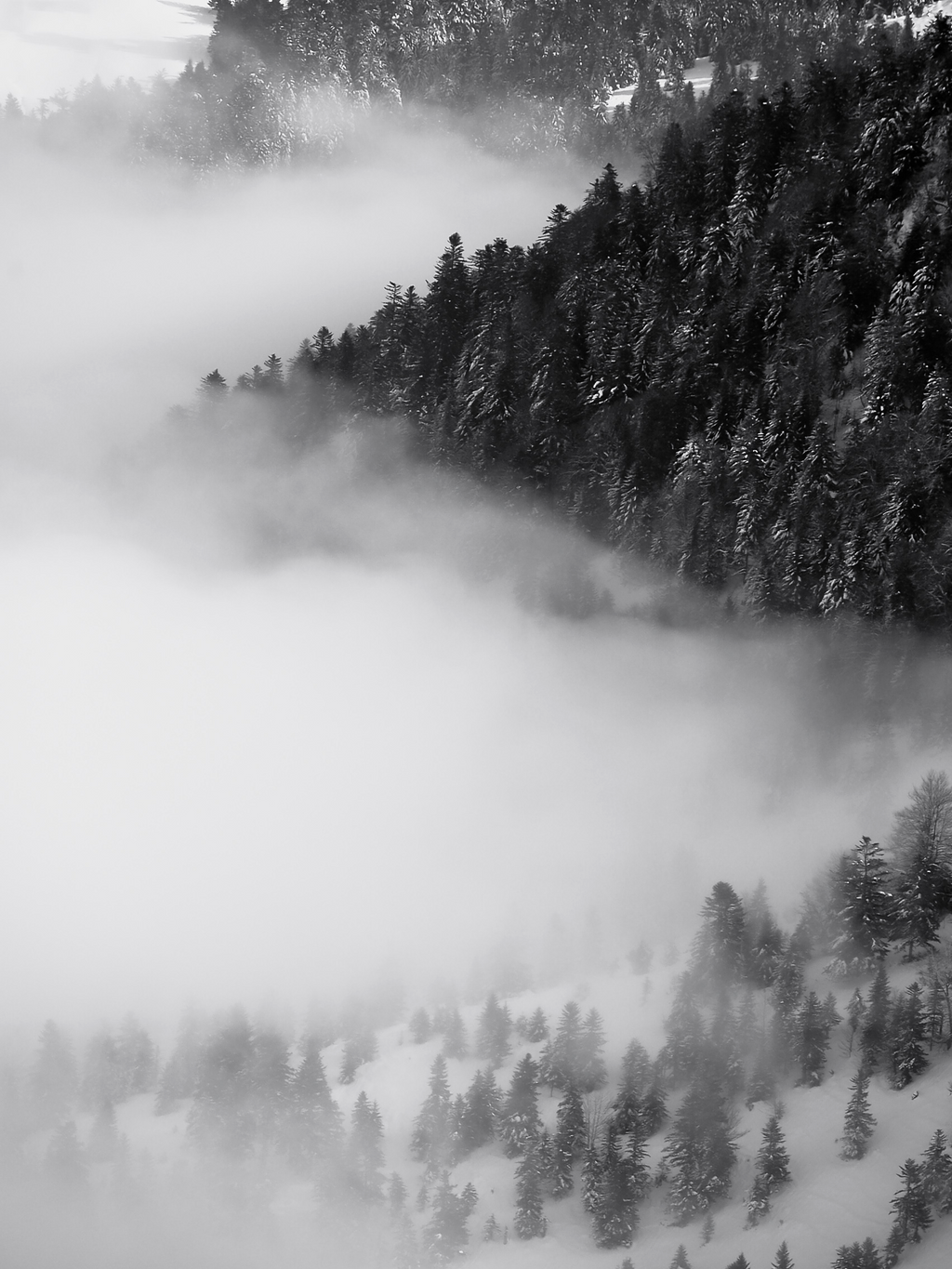 OntologieDuBlanc#7 – Tirage photo Fine Art abstraction minimaliste blanche – Véronique Botella Photography