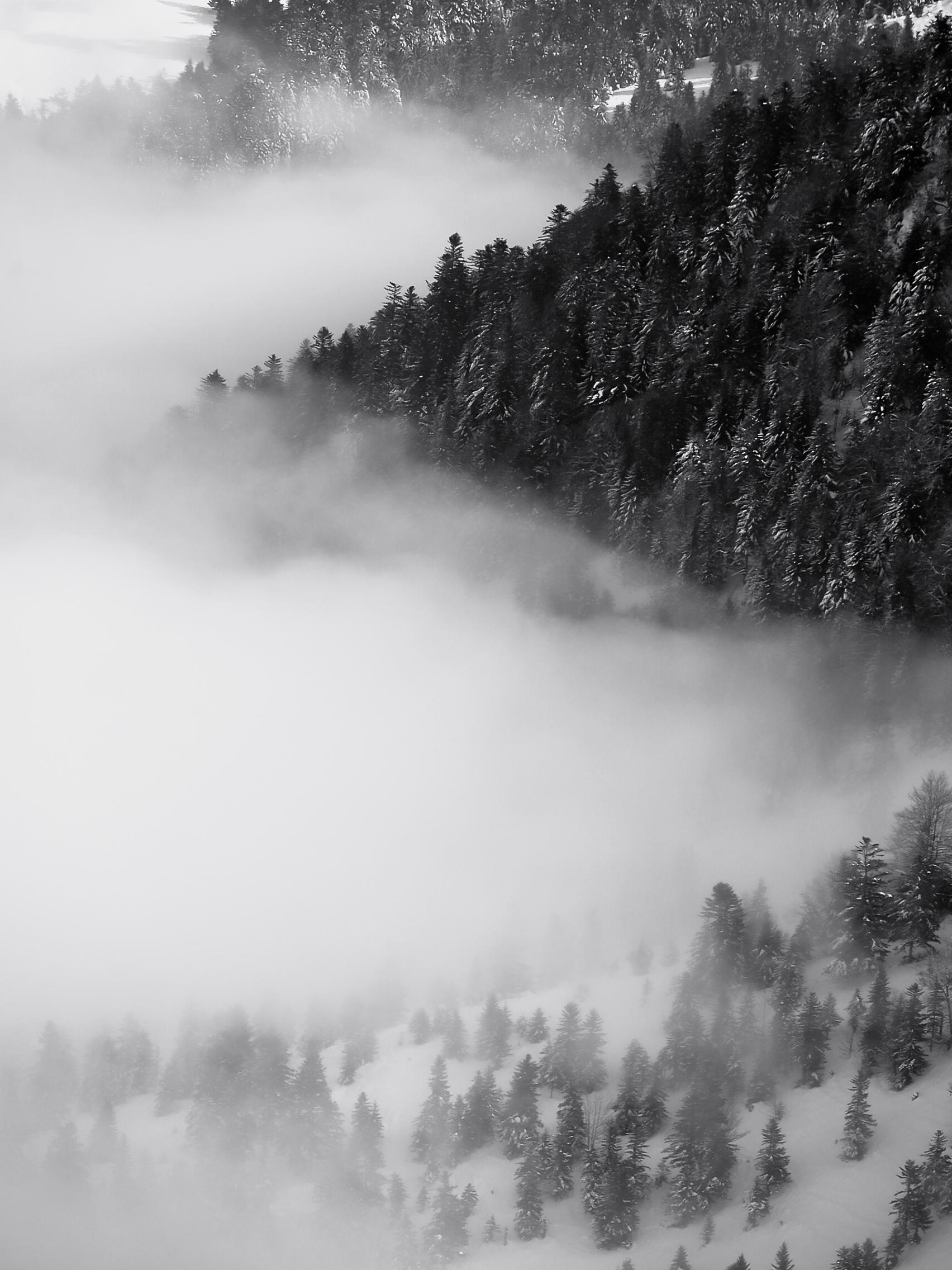 OntologieDuBlanc#7 – Tirage photo Fine Art abstraction minimaliste blanche – Véronique Botella Photography